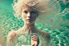 file-5pSH8sc8CEFgWcfs6869tq