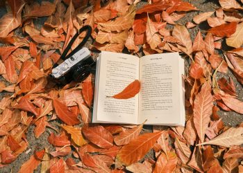 Open book with camera on fallen autumn leaves, evoking a cozy fall reading vibe.