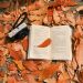 Open book with camera on fallen autumn leaves, evoking a cozy fall reading vibe.