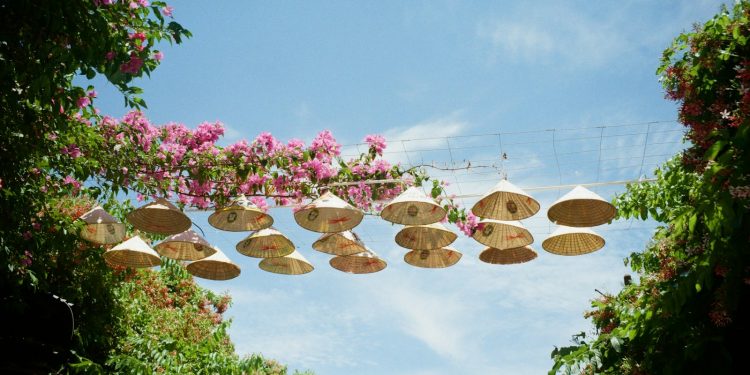 Conical hats strung between trees under a blue sky