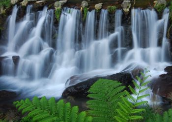 Praktični rad s vodom prema Viktoru Schaubergeru