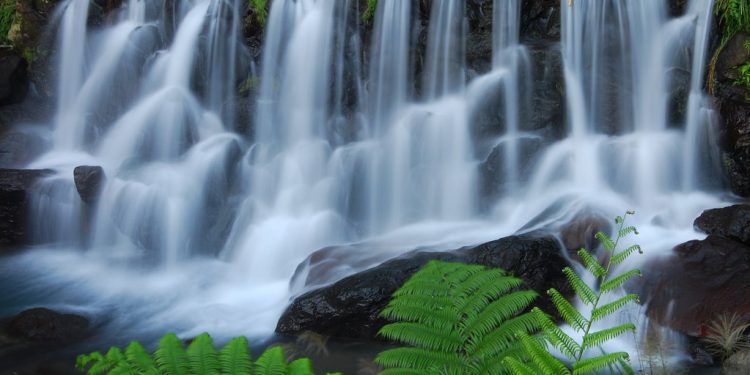 Praktični rad s vodom prema Viktoru Schaubergeru