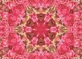 roses, bloom, blossom, flower, petals, flora, plant, botany, nature, pink, pattern, kaleidoscope, geometric, design, fractal, creative, illusion, shapes, spiral, texture, background