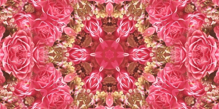 roses, bloom, blossom, flower, petals, flora, plant, botany, nature, pink, pattern, kaleidoscope, geometric, design, fractal, creative, illusion, shapes, spiral, texture, background