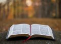 bible page on gray concrete surface