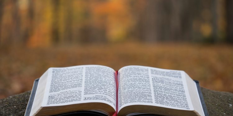 bible page on gray concrete surface