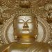 brown Gautama buddha statue