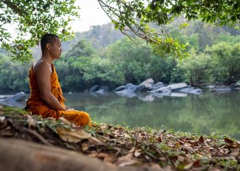 a person sitting on a rock by a river