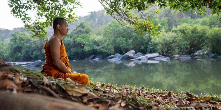 a person sitting on a rock by a river