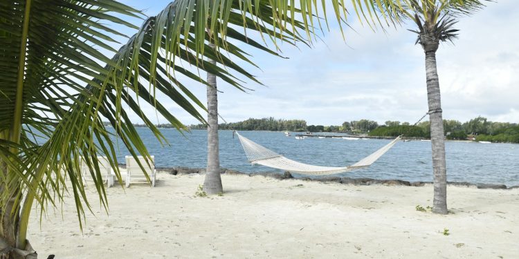 white hammock in between palm tree on seashore