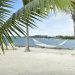 white hammock in between palm tree on seashore