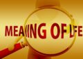 hand, magnifying glass, meaning of life, question, meaning, looking for, control, philosophy, believe, religion, meaning, meaning, meaning, meaning, meaning, philosophy, philosophy, philosophy, philosophy, believe