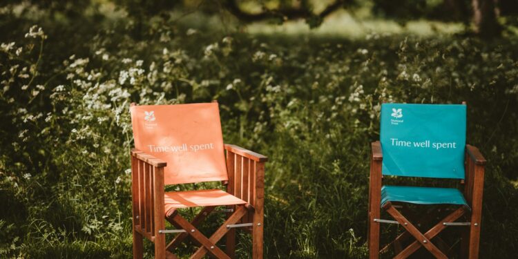 brown wooden folding chair near plant