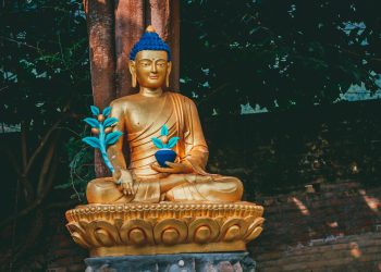 gold buddha statue near green plant