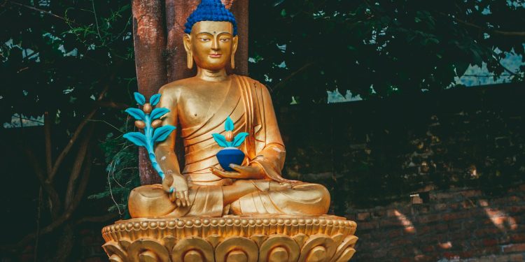 gold buddha statue near green plant