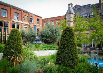 green plants near brown concrete building during daytime