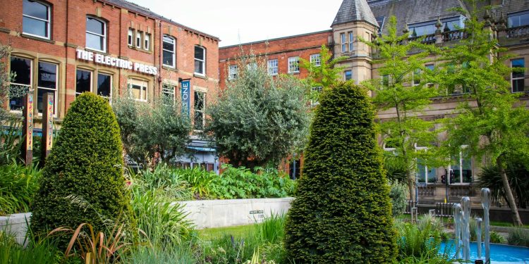 green plants near brown concrete building during daytime