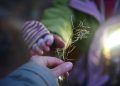 a close up of a person holding a plant