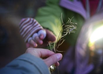 a close up of a person holding a plant