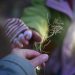 a close up of a person holding a plant