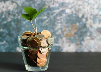 green plant in clear glass vase