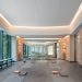 Modern yoga studio with large windows and mats.